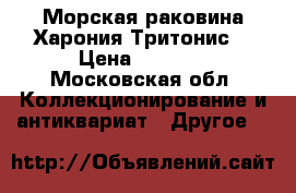 Морская раковина Харония Тритонис  › Цена ­ 1 000 - Московская обл. Коллекционирование и антиквариат » Другое   
